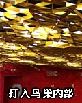 ���ڲ�