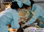 视
频:驾摩托车撞立柱 同济两留学生生命垂危