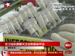 世卫组织提醒关注动物间传播感染甲流
