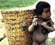 �Ƹ����䲻��,�ǹ���,�������뱶���ƻ�,��н,����Ա��н,����Ա�ǹ���,���뱶���ƻ�,���뱶��,ũ����н,ƶ�����,��Դ���䲻��,