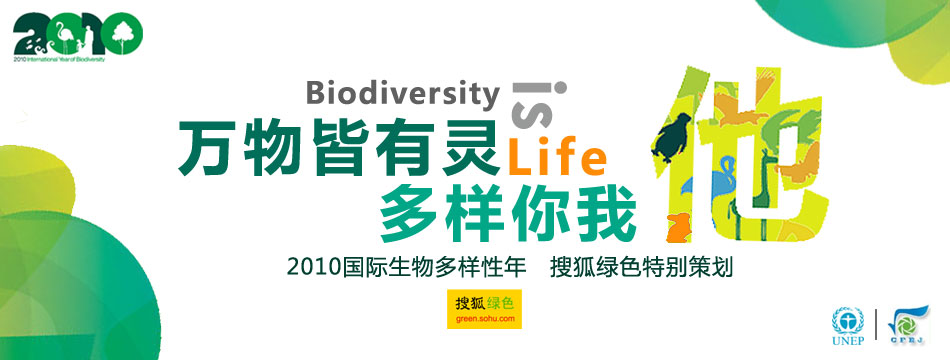 2010国际生物多样性年搜狐绿色特别策划