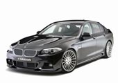 Hamann±5ϵM׼