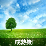 ��ְ Ӧ���� ��ҵ�� ְ��