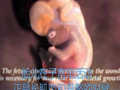�ӻ��е����� ������ֵ��һ����