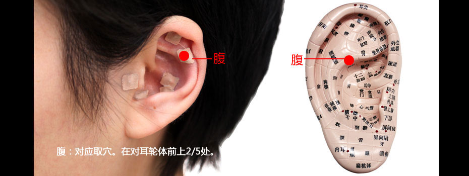 ������Ѩ������