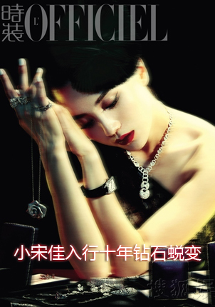 2012年度时尚先生盛典 陈紫函低胸装抢镜图片