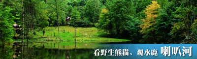��Ұ����è��ˮ¹ 21���������ɱ������Ⱥ�