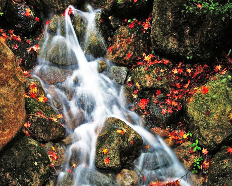 东极仙谷自然风景区