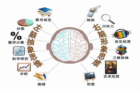 左撇子占世界人口10% 聪明却备受"歧视"