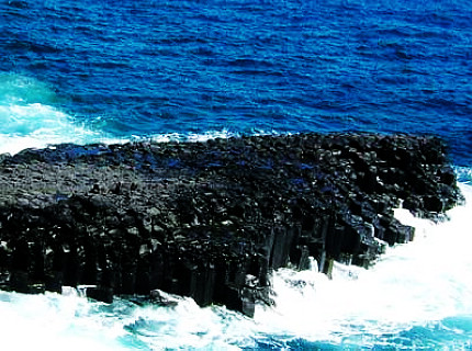 白本护照免签目的地