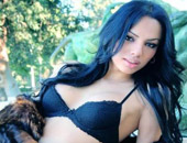 ������ģ������4���Ǽ���