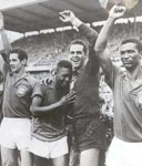 1958年世界杯夺冠