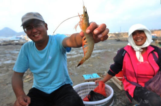 青岛进入秋季捕捞季 海捕大虾每只30元(图)-搜狐财经