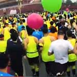 ��������������Ƭ