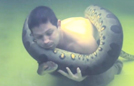 男子怀抱巨蟒玩水下潜泳