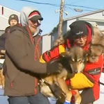 ����ѩ�������ɾ��ʷ׳�