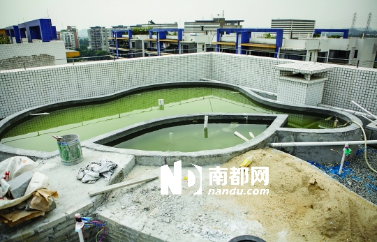 广州一小区现违建 11楼楼顶变身私家水池(图)
