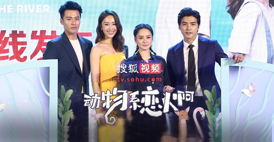 动物系恋人啊